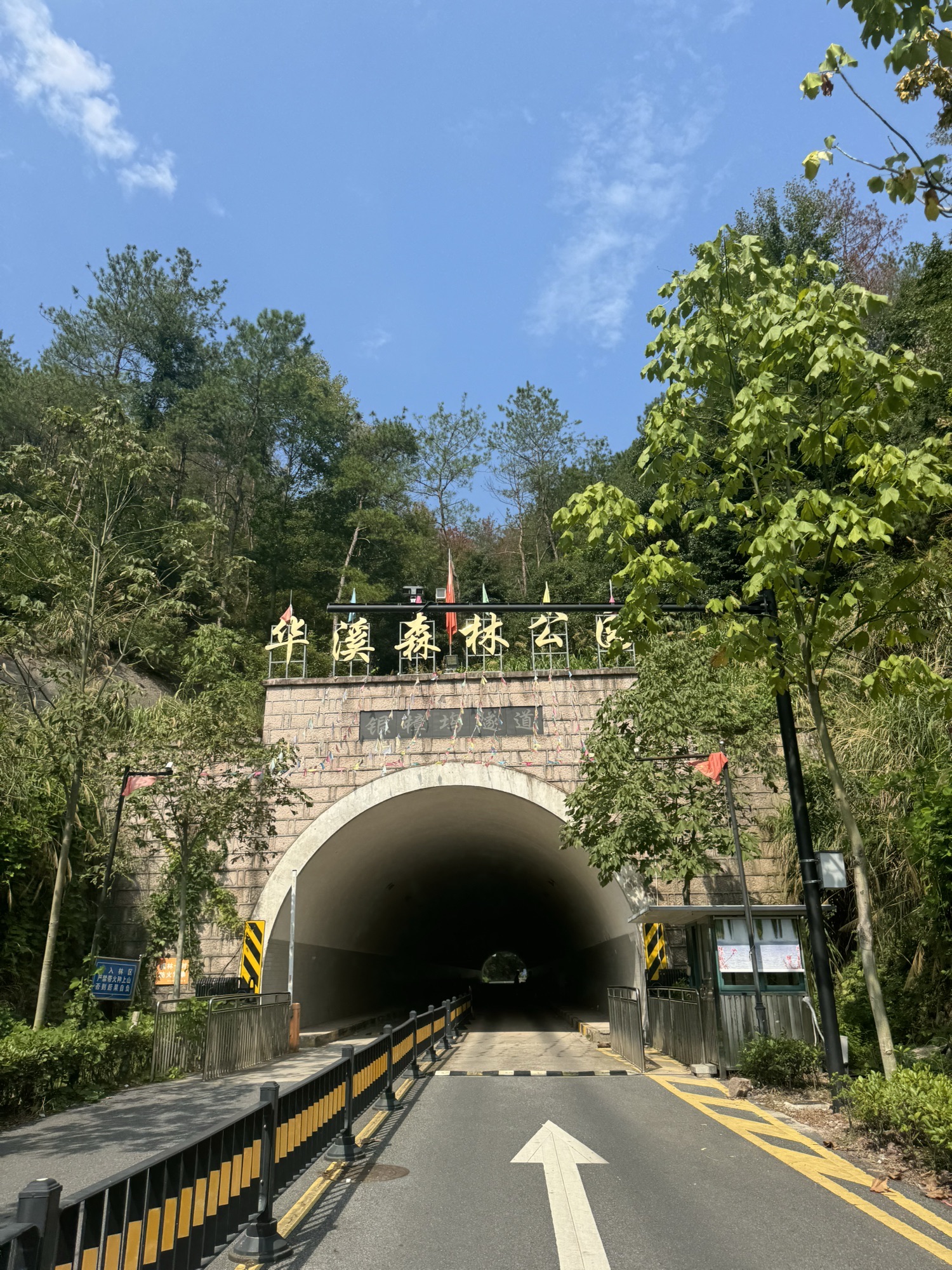 华溪森林公园旅行图片 2