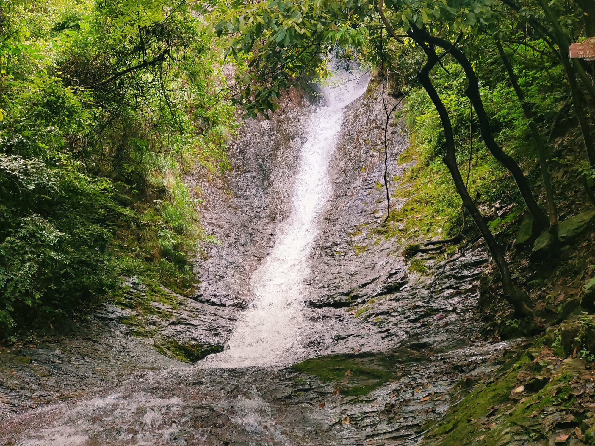 华溪森林公园旅行图片 3