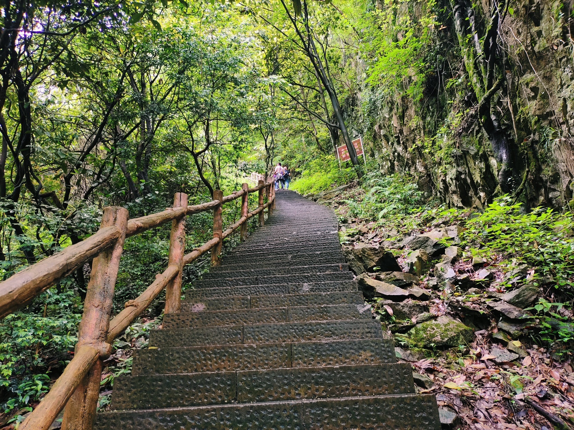 华溪森林公园旅行图片 2