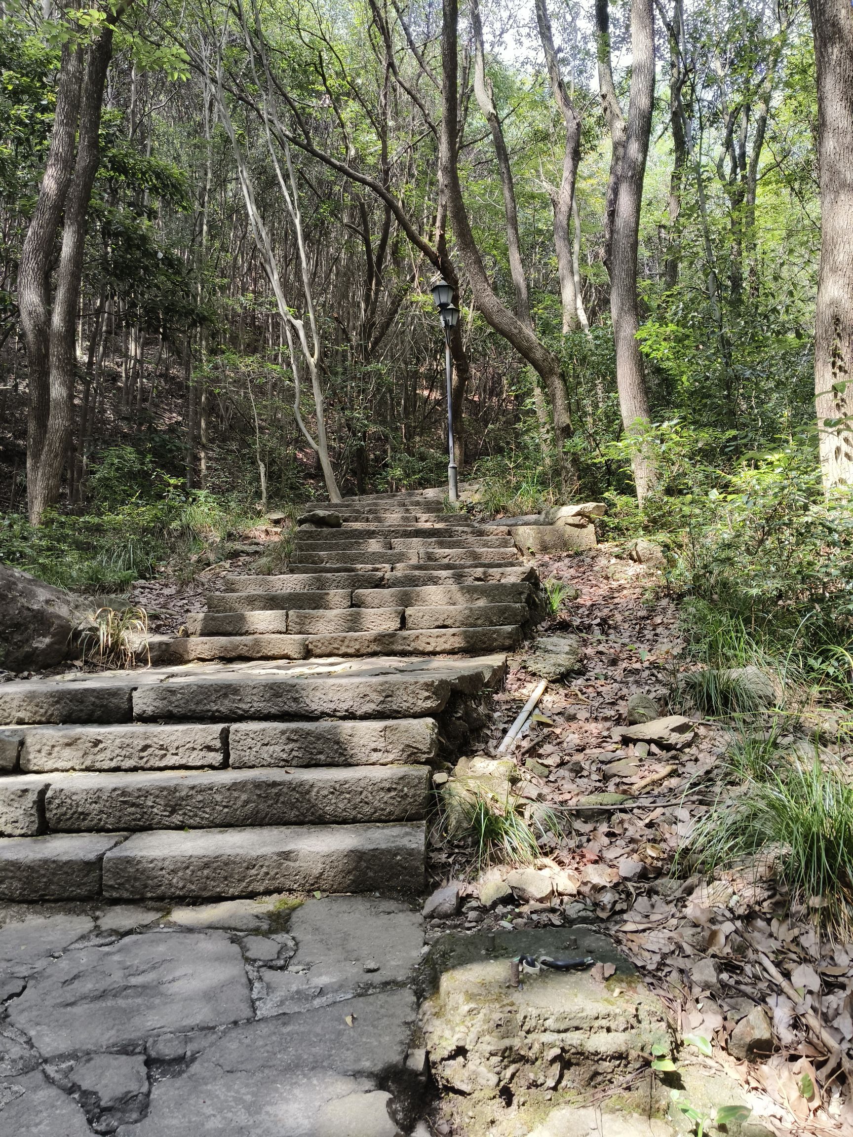华溪森林公园旅行图片 2
