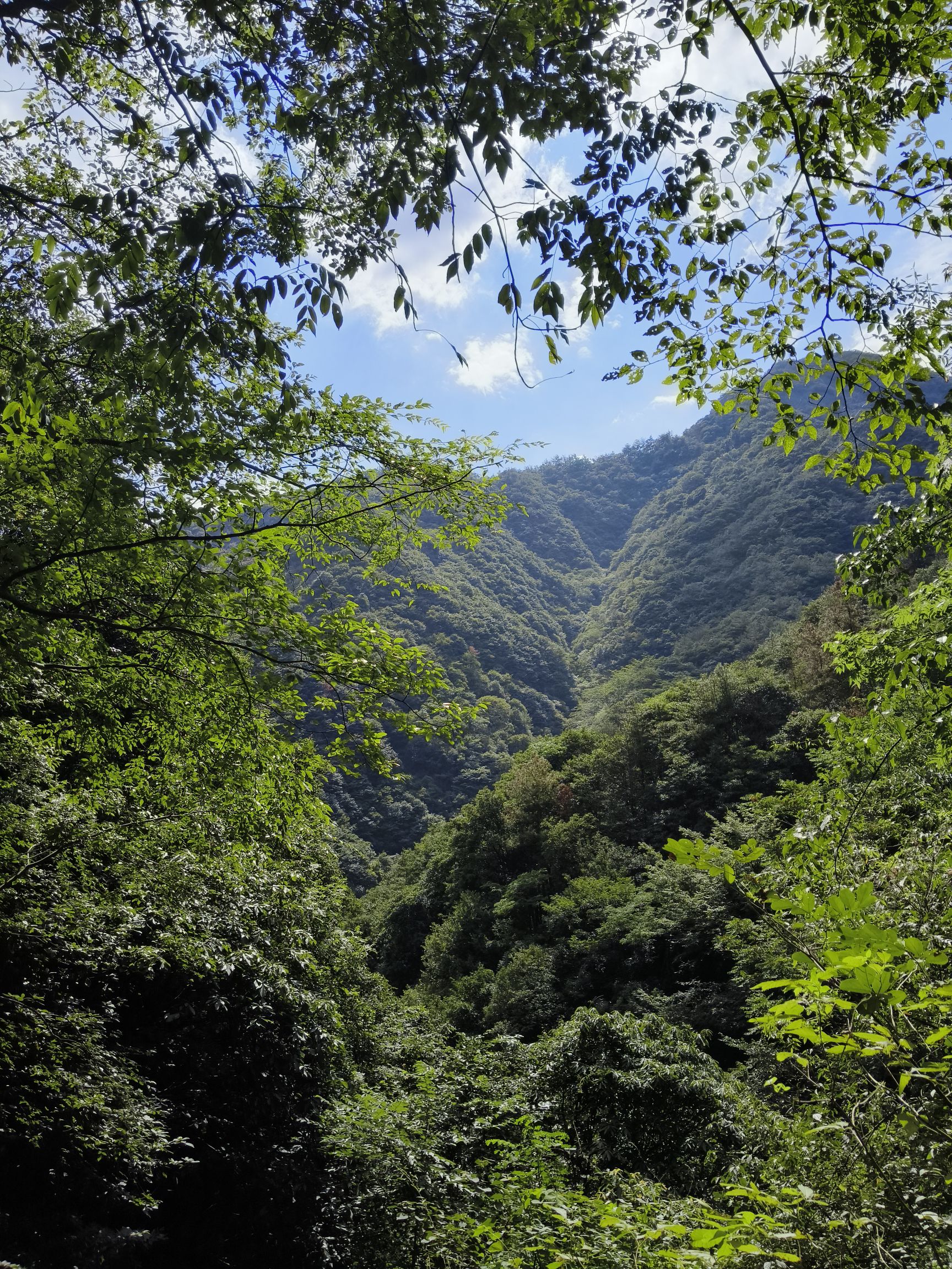 华溪森林公园旅行图片 1