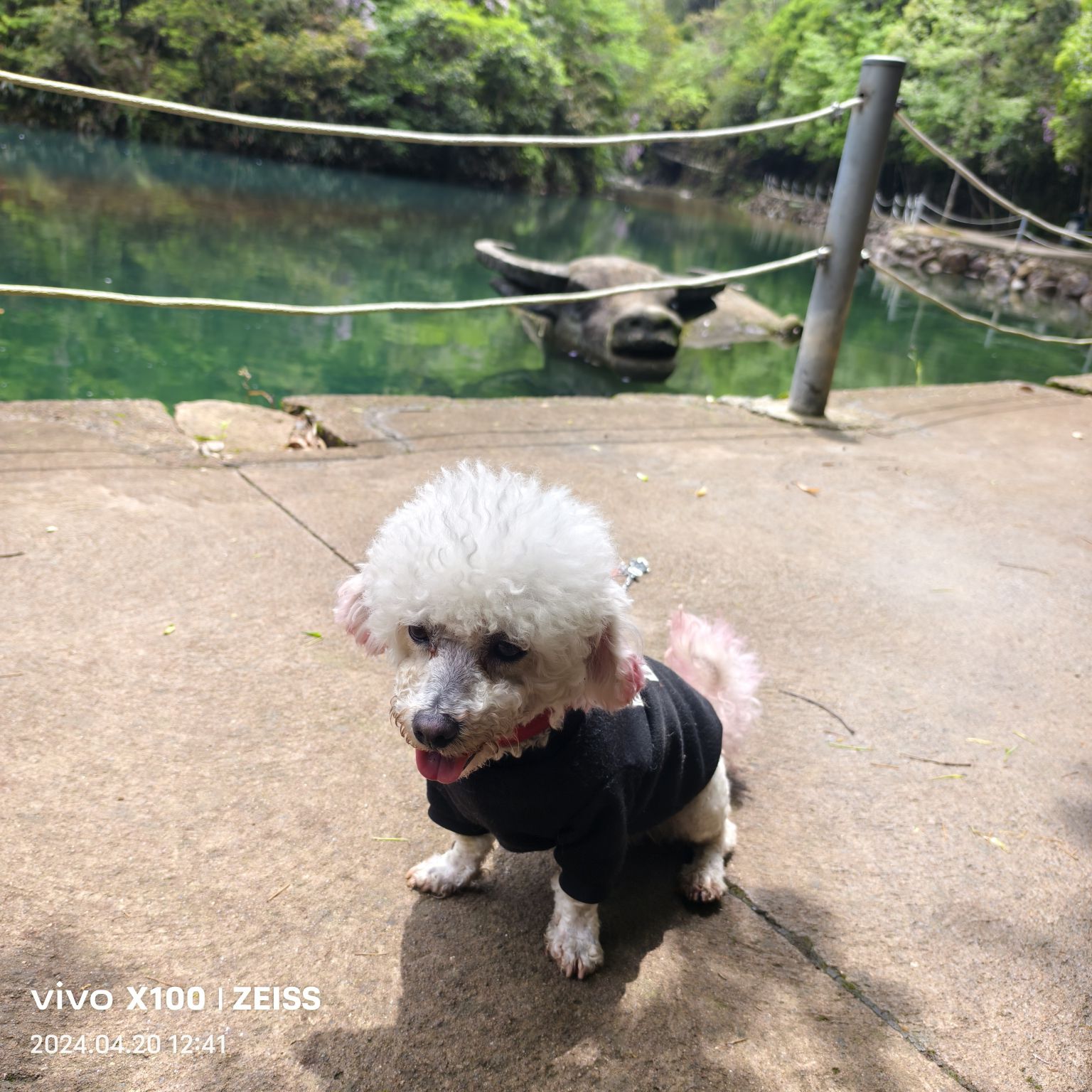牛头山国家森林公园旅行图片 2