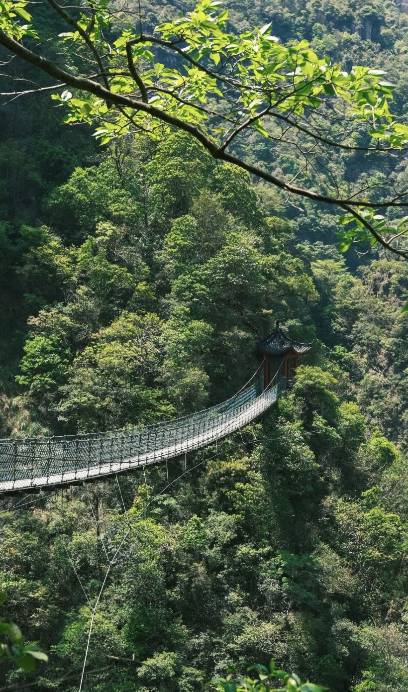 牛头山国家森林公园旅行图片 3