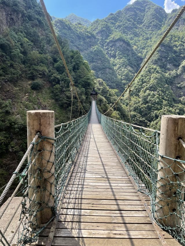 牛头山国家森林公园旅行图片 1