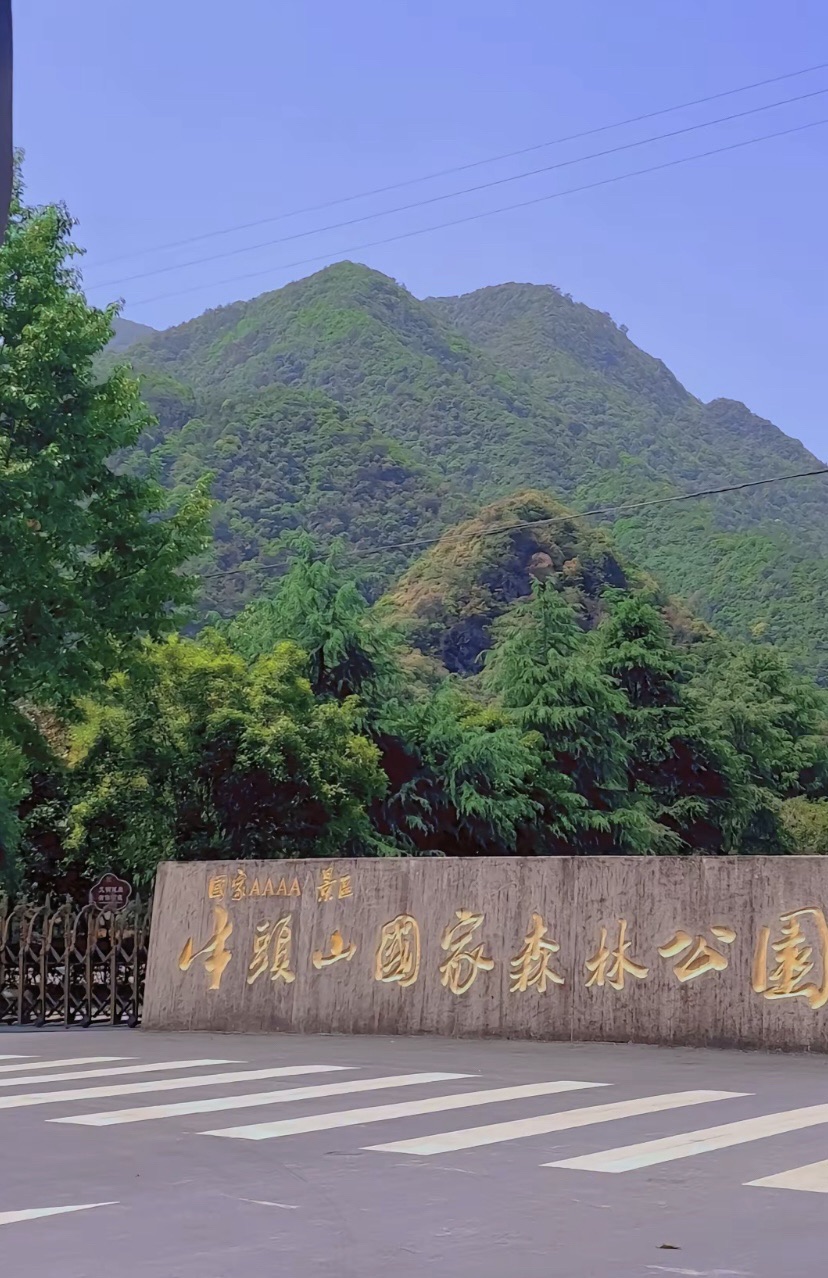 牛头山国家森林公园旅行图片 1