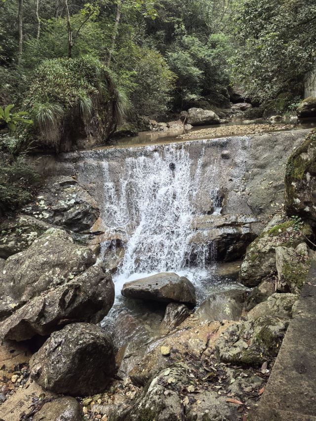 牛头山国家森林公园旅行图片 1