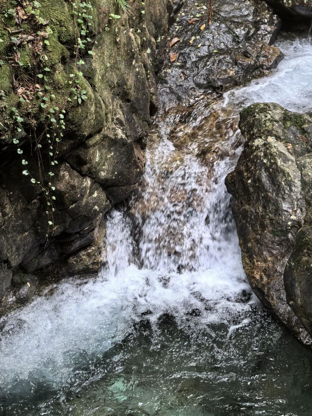 牛头山国家森林公园旅行图片 2