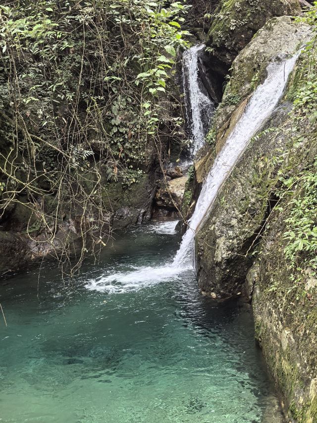牛头山国家森林公园旅行图片 3