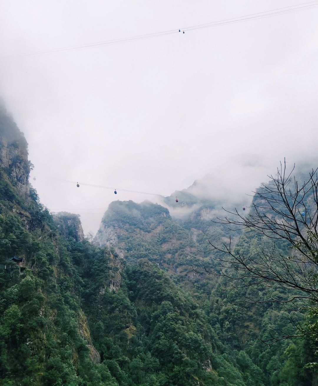 牛头山国家森林公园旅行图片 3