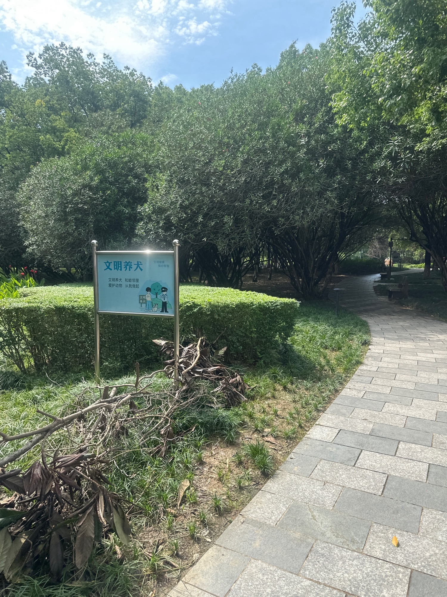 香雪报春园旅行图片 2