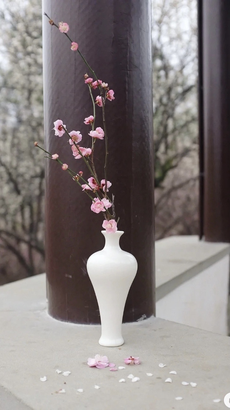 香雪报春园旅行图片 1