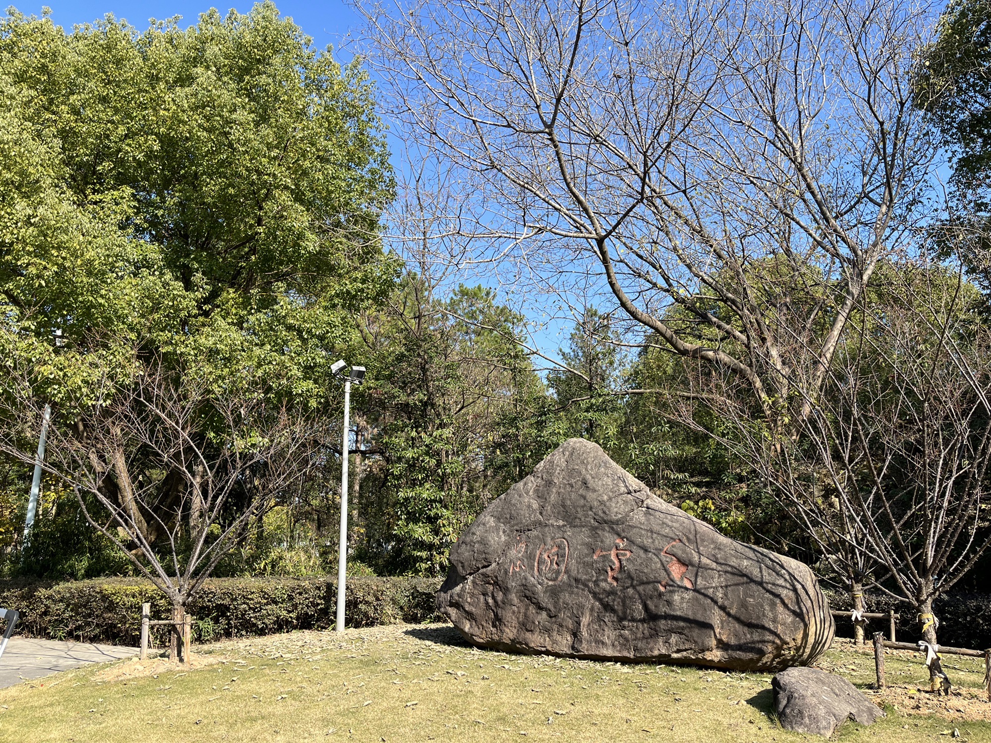 香雪报春园旅行图片 1