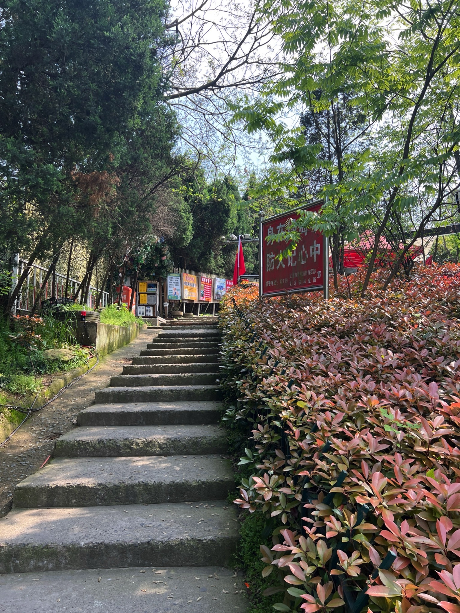 南山公园