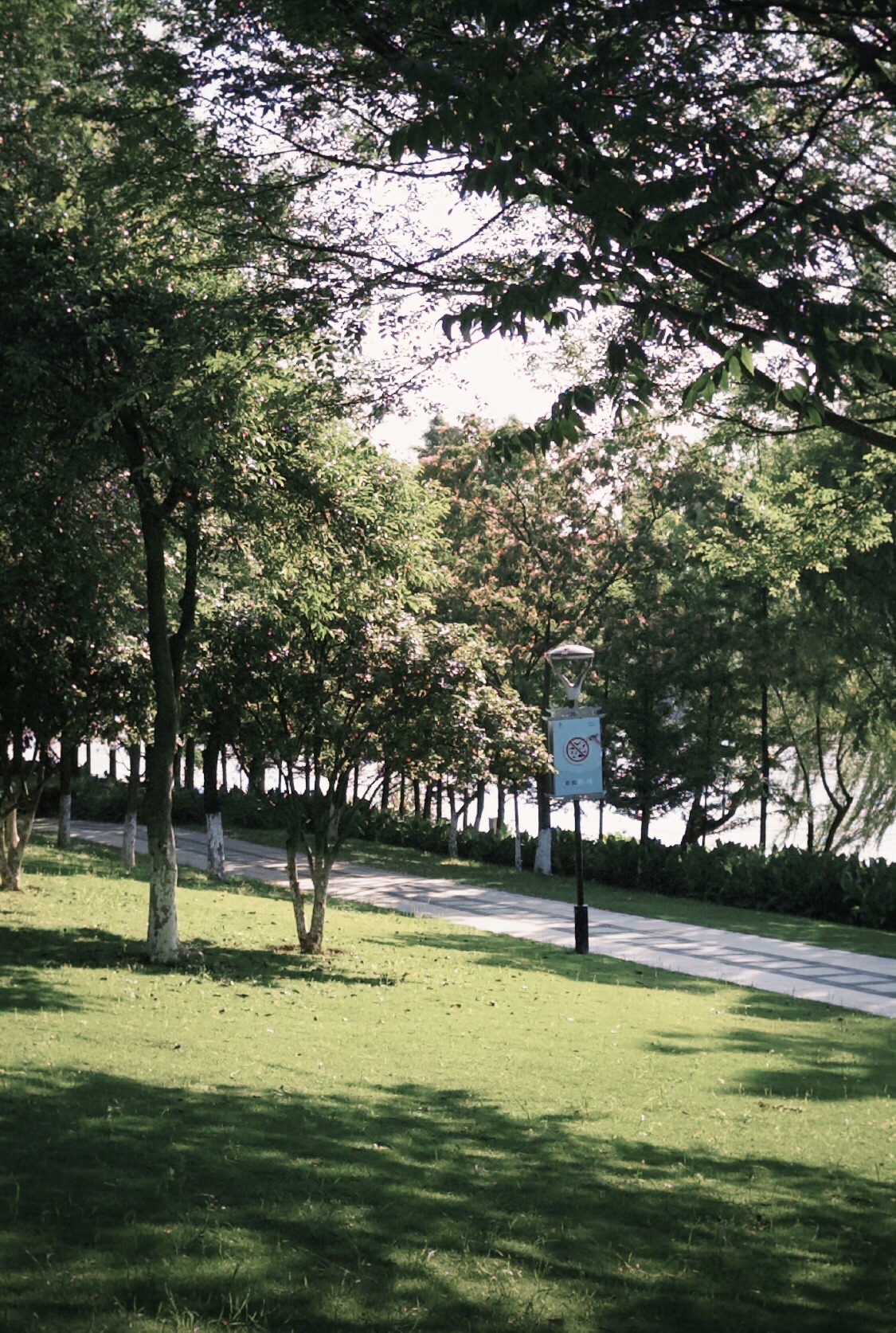塔下洲公园