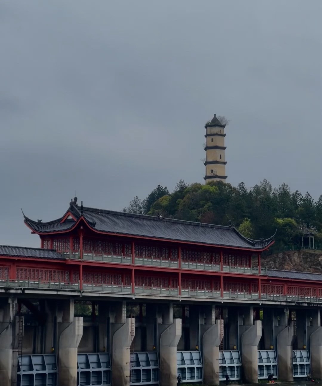 塔下洲公园旅行图片 3