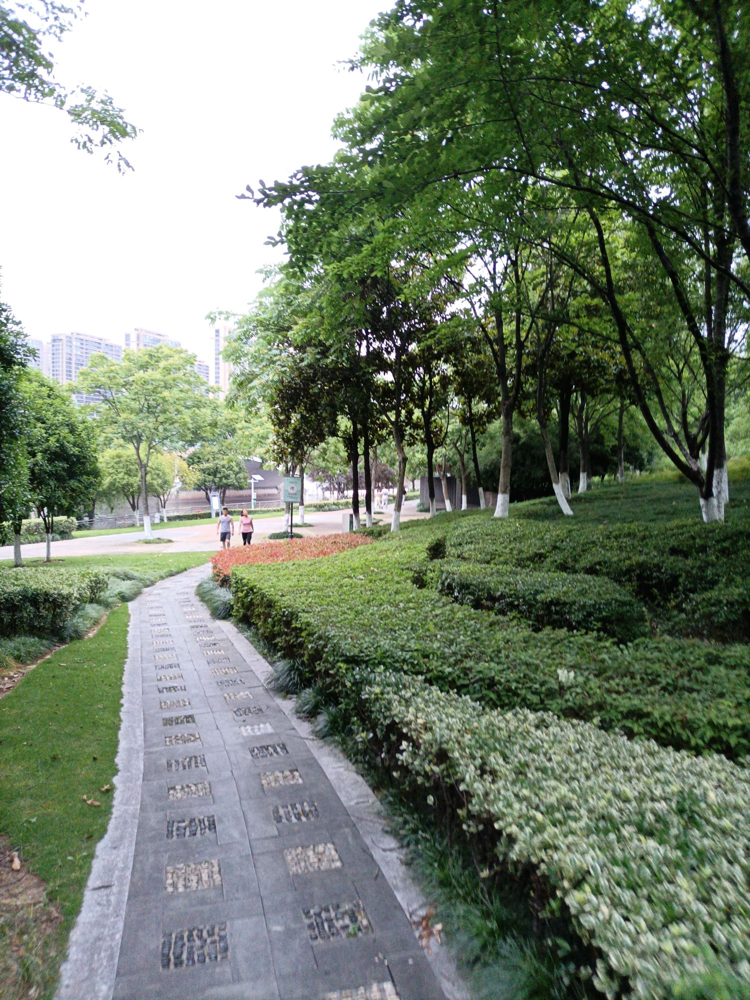 塔下洲公园旅行图片 3