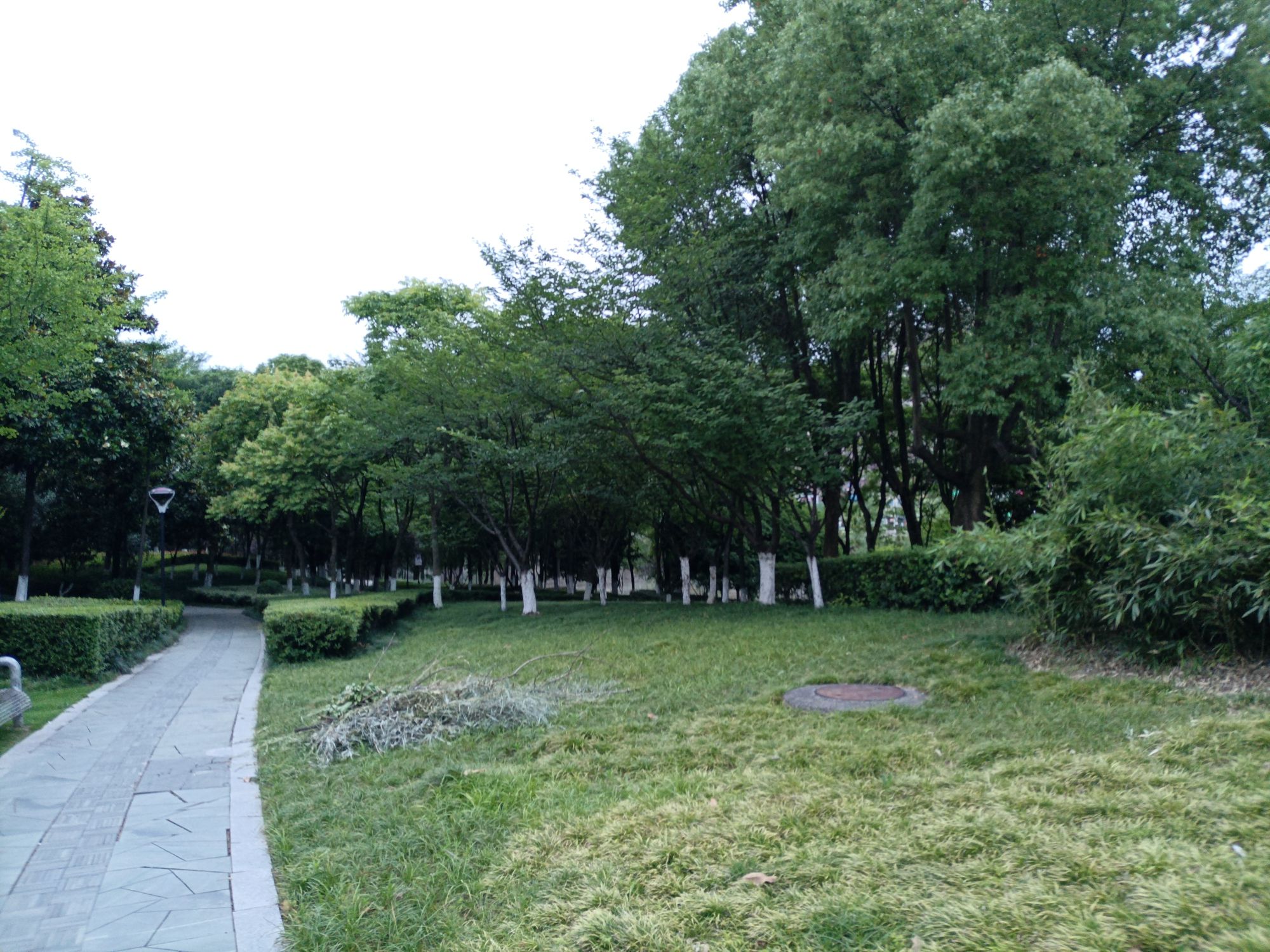 塔下洲公园旅行图片 2