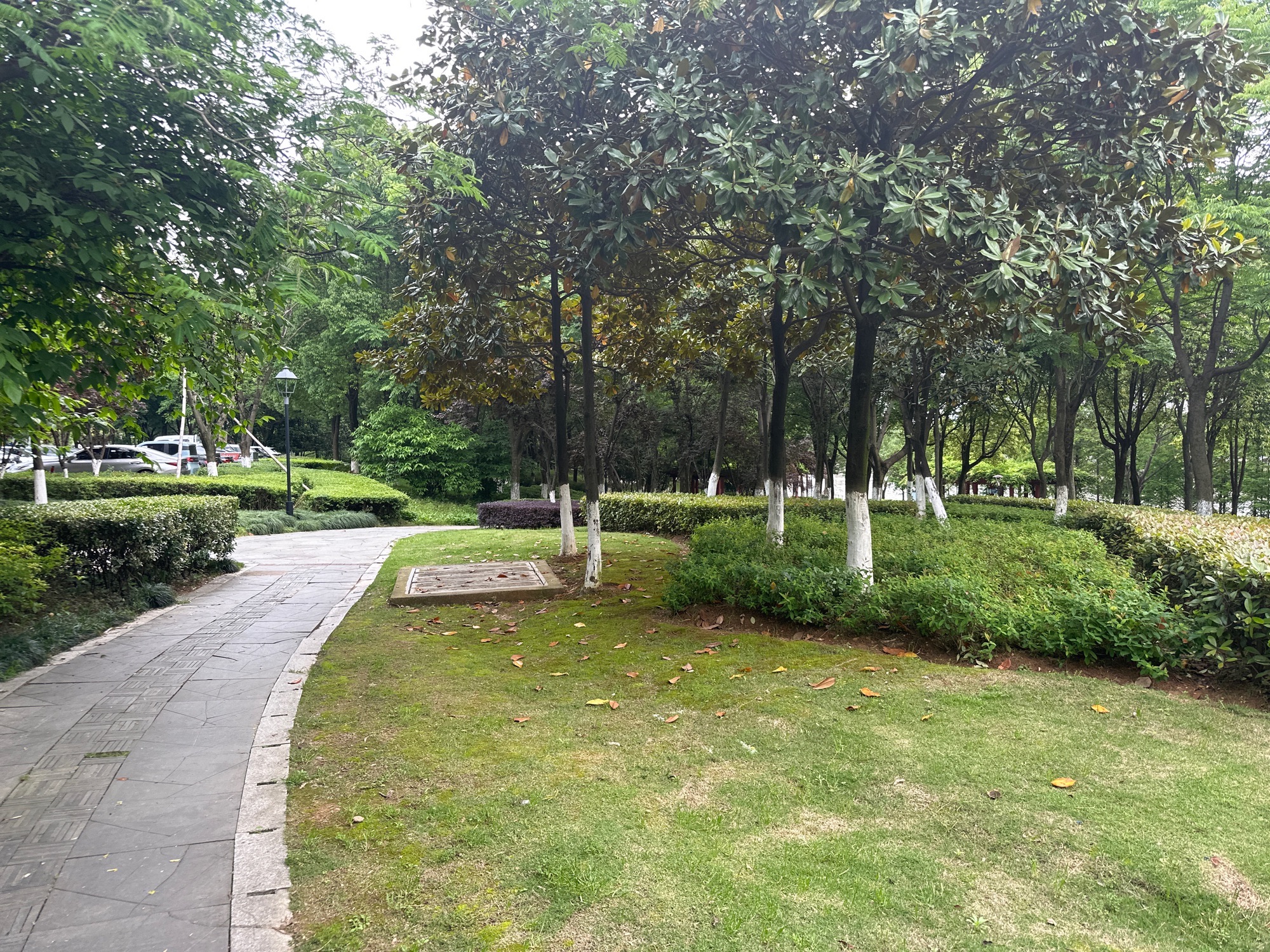 塔下洲公园旅行图片 2