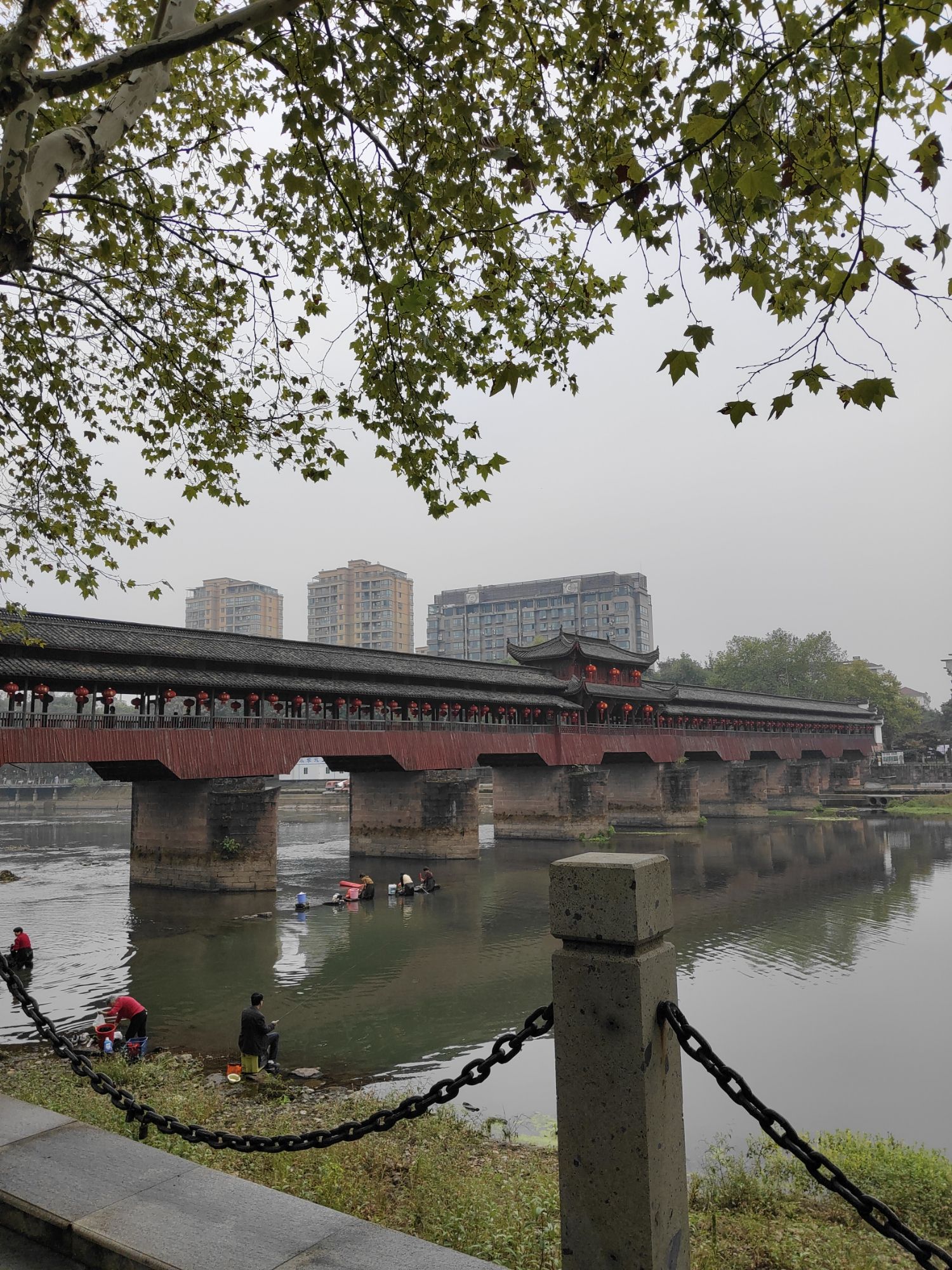 滨江公园旅行图片 1