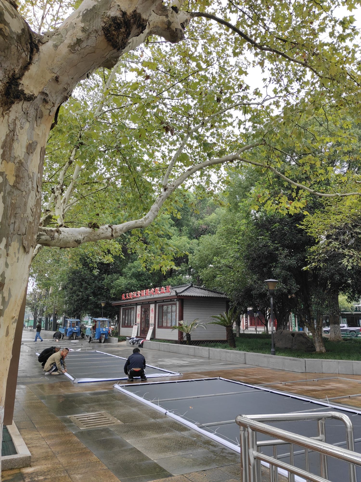 滨江公园旅行图片 2