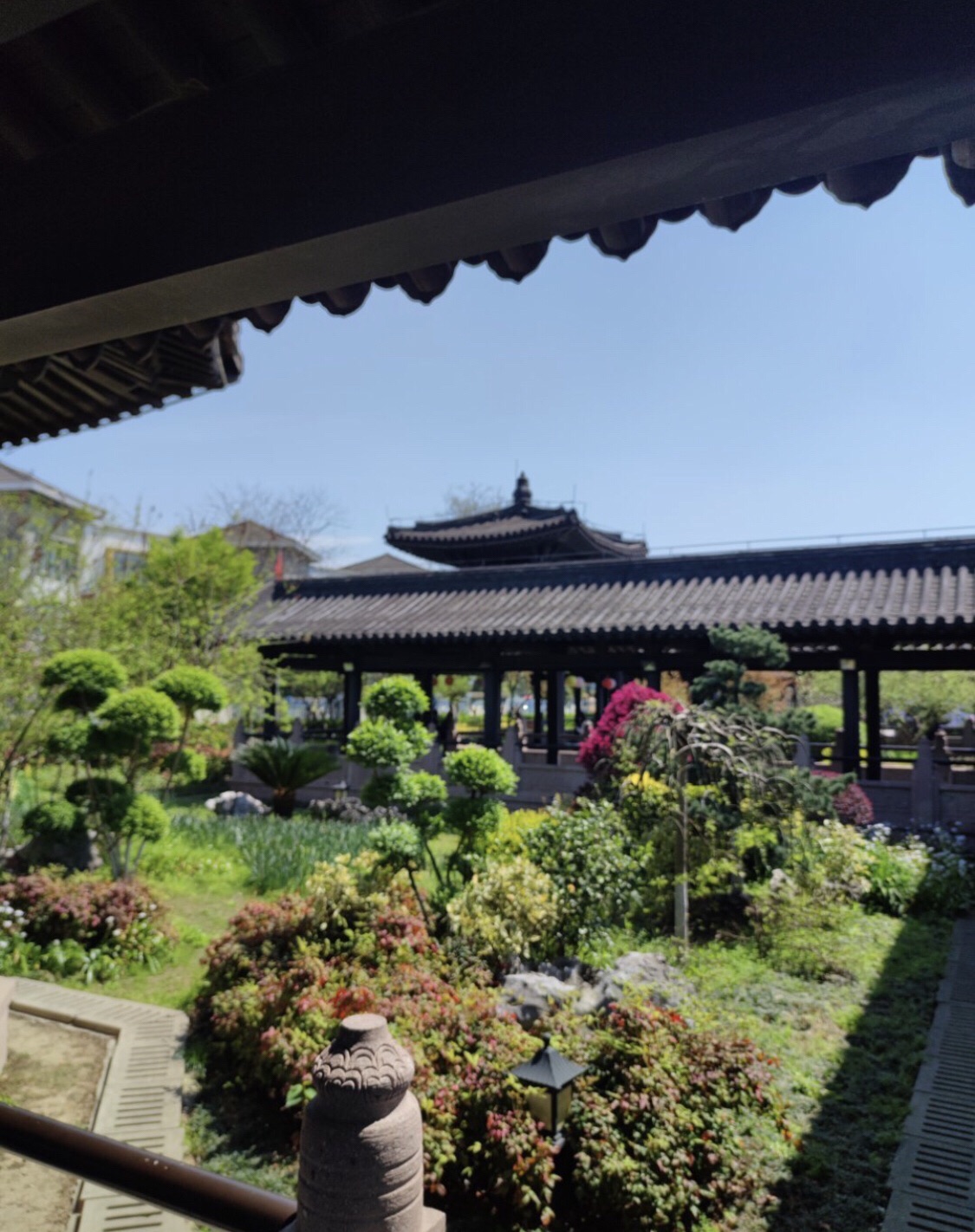 月湖公园旅行图片 3