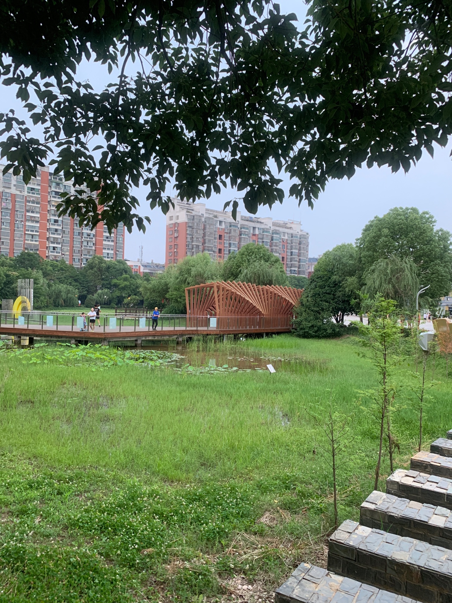 月湖公园旅行图片 2