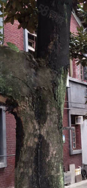 建设二村