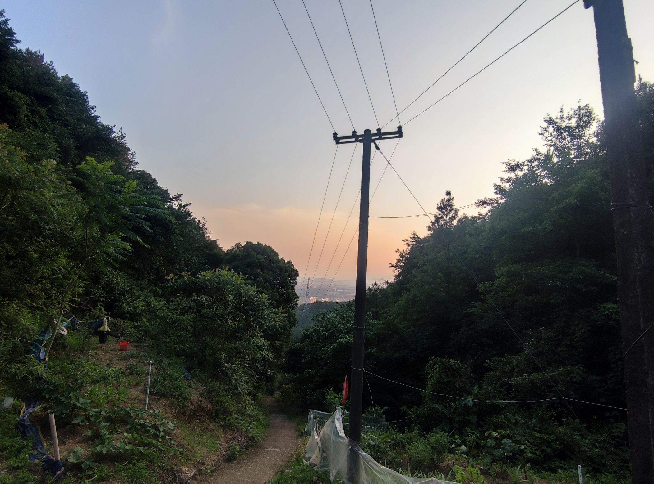义乌市苏溪镇得胜潭森林公园旅行图片 2