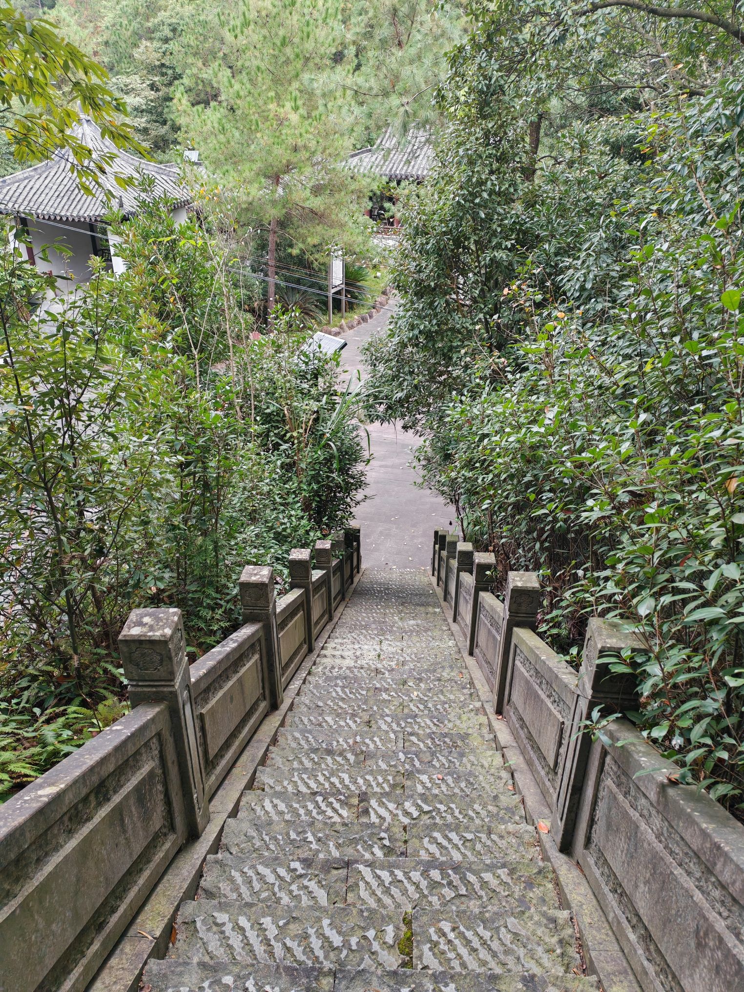 昌文塔旅行图片 2