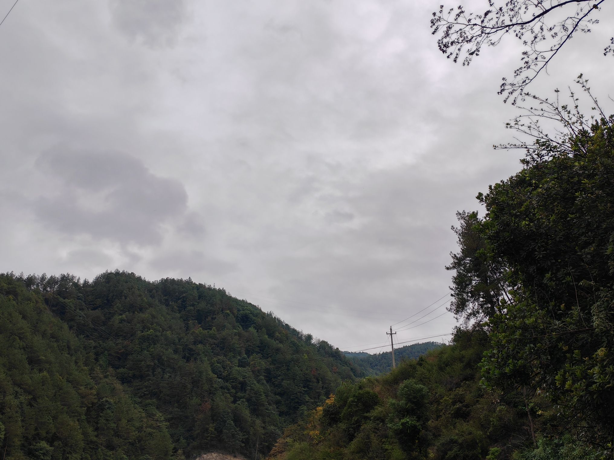 昌文塔旅行图片 3