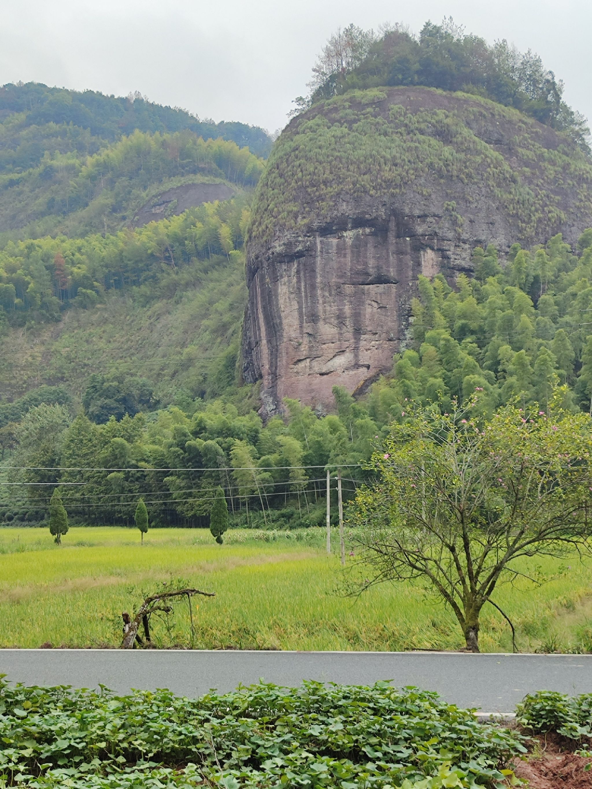 十里画廊刘秀垄旅行图片 1