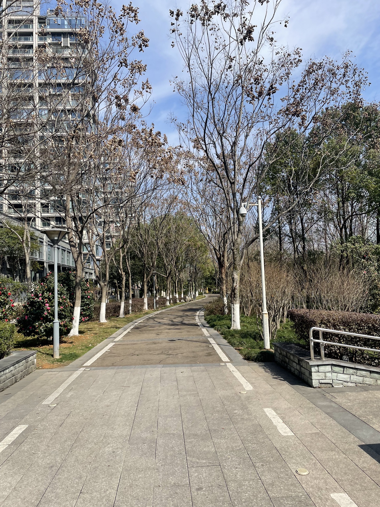 中轴景观公园旅行图片