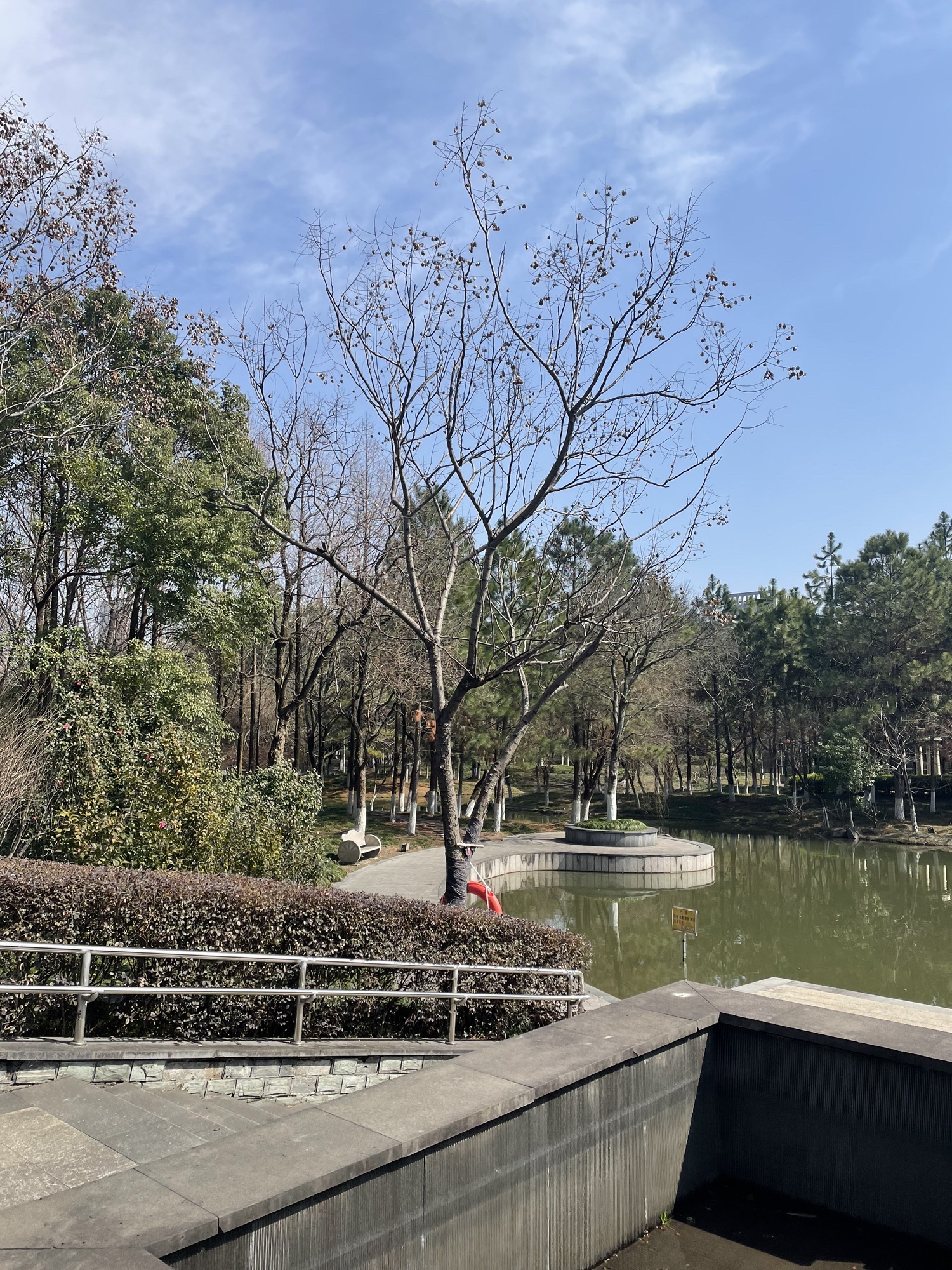 中轴景观公园旅行图片 2