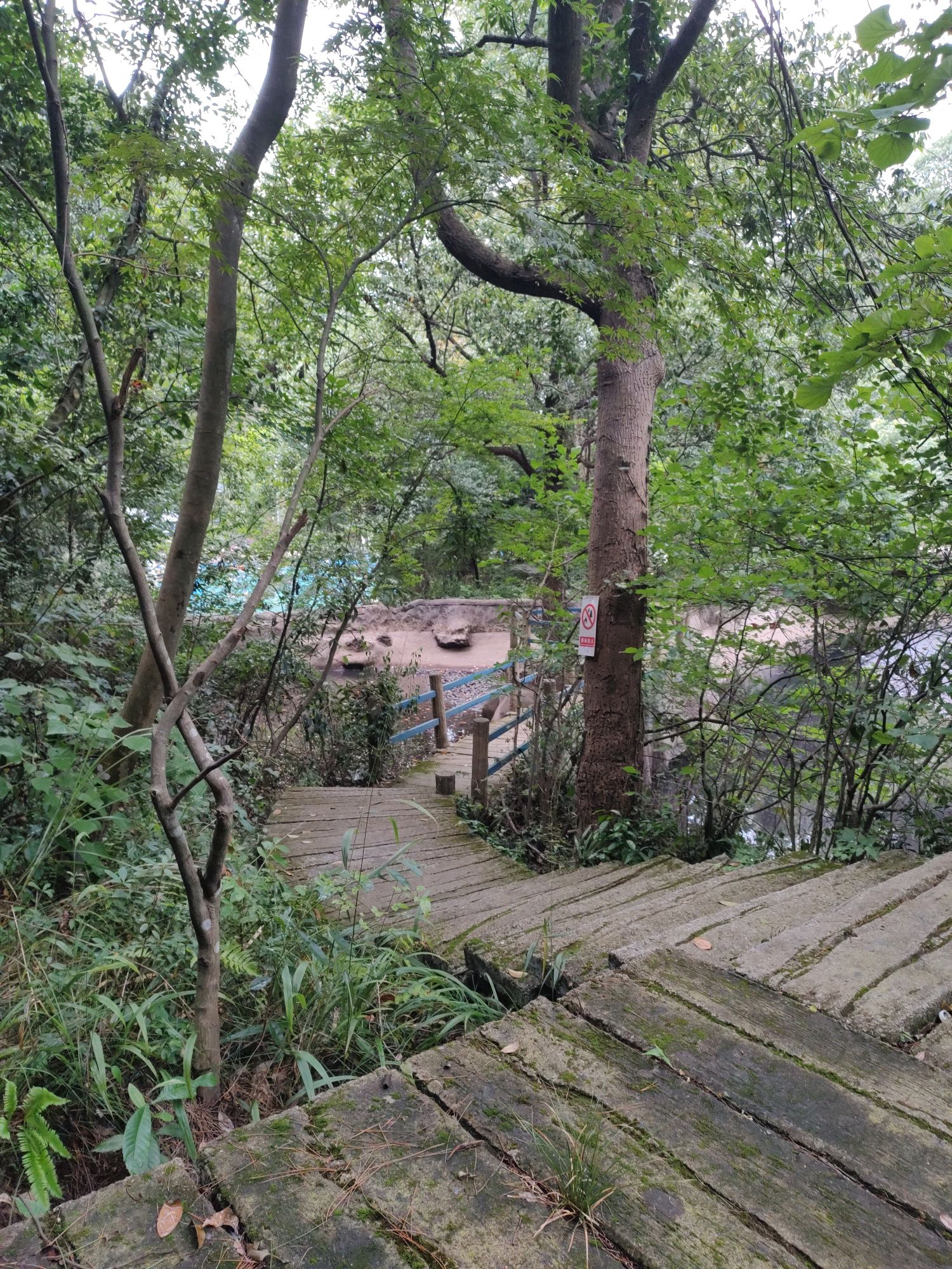 虎踞峡风景区旅行图片 3