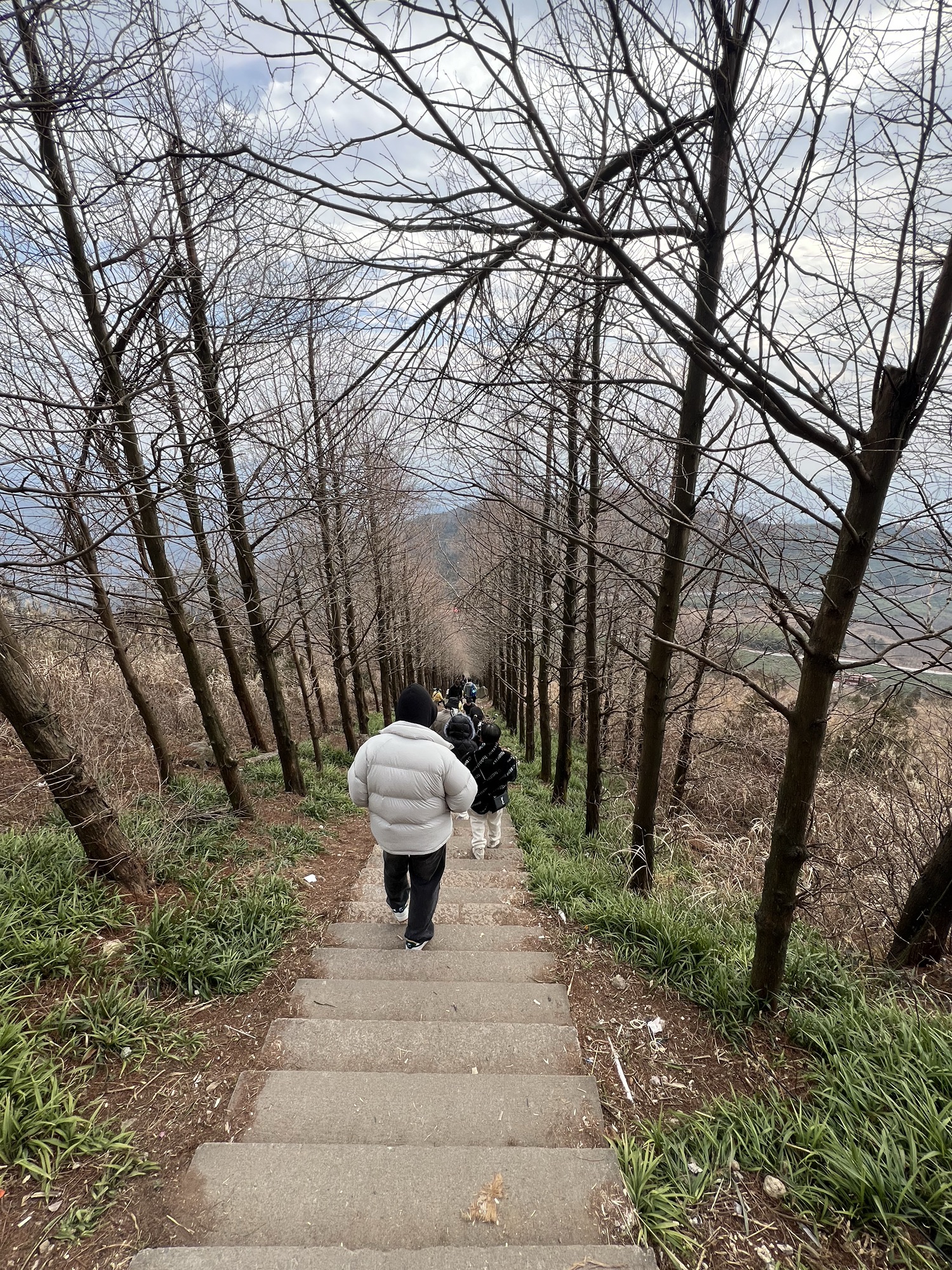 东白山旅行图片 1