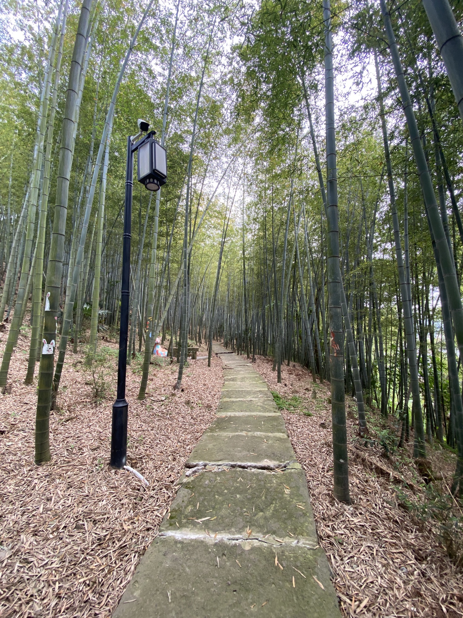 三毛文化村旅行图片 1