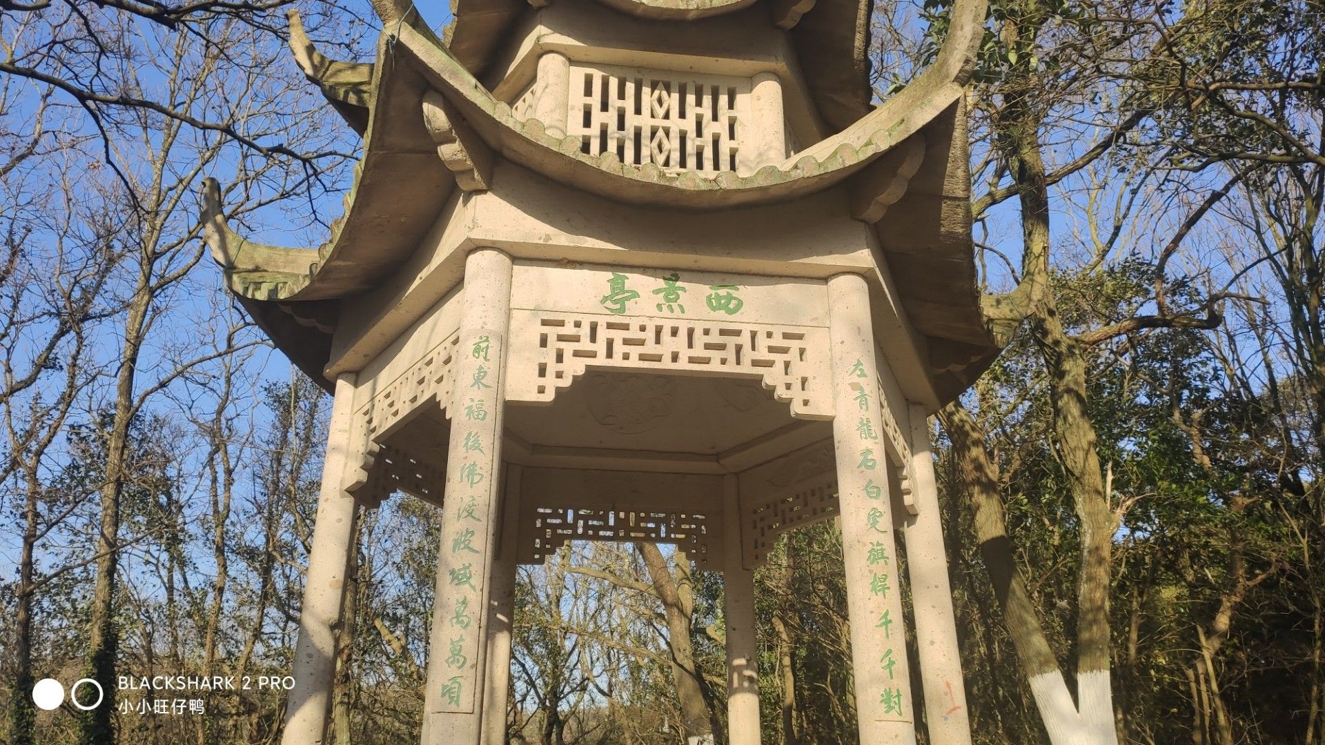青龙山公园旅行图片 2