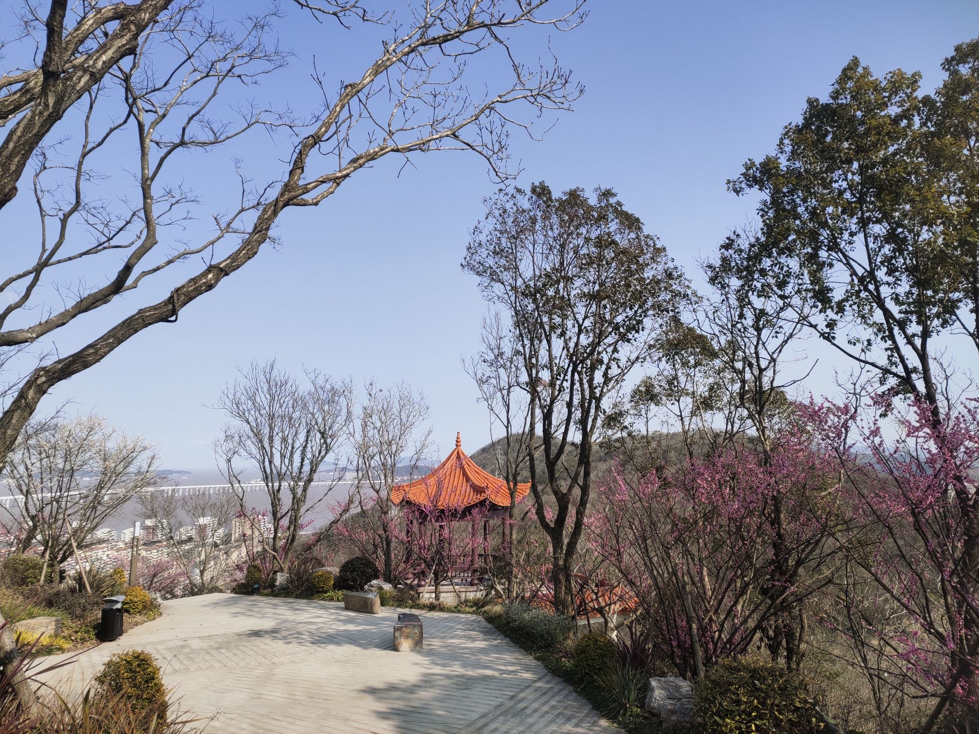 青龙山公园旅行图片 3
