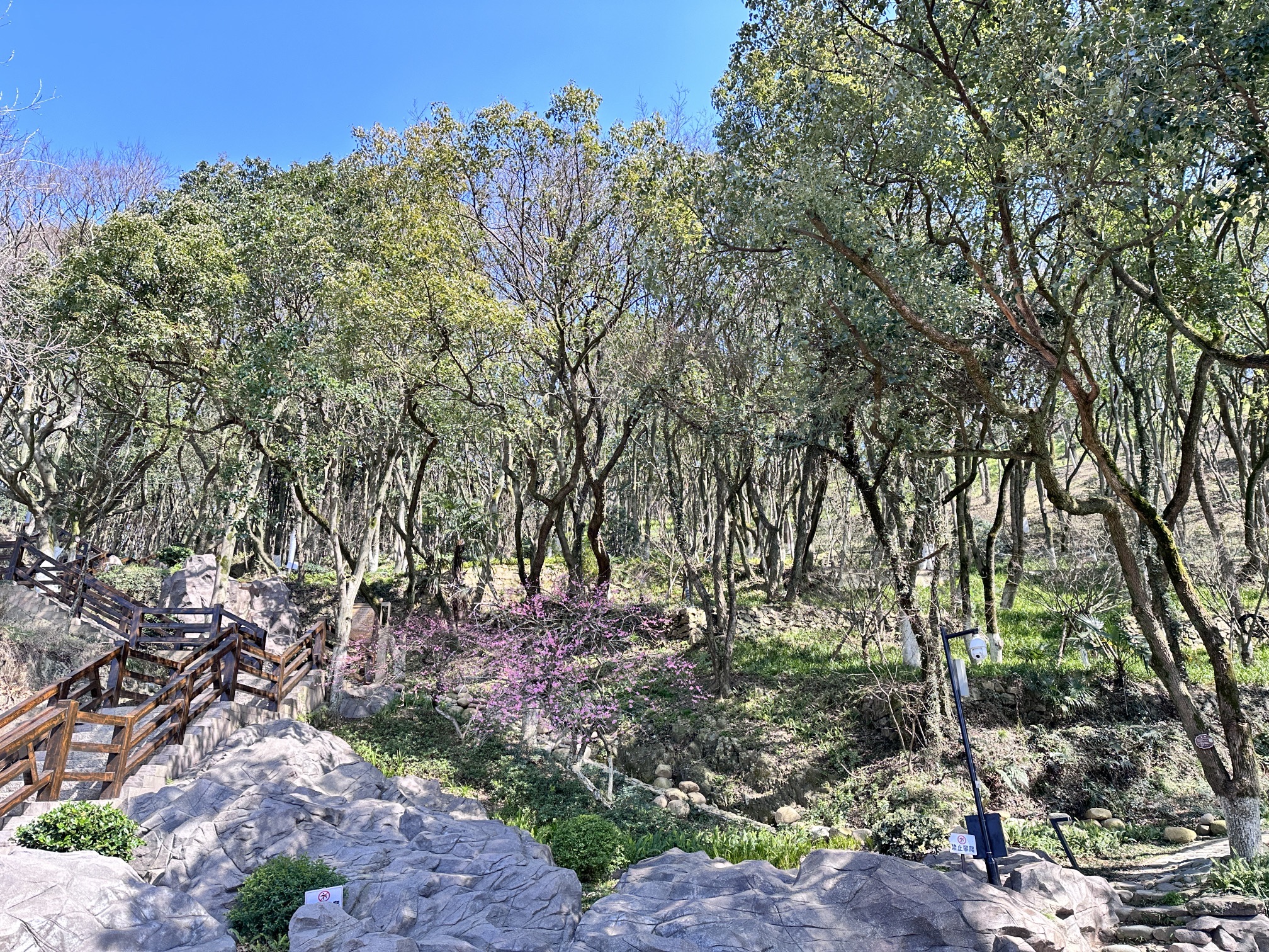 青龙山公园旅行图片 1