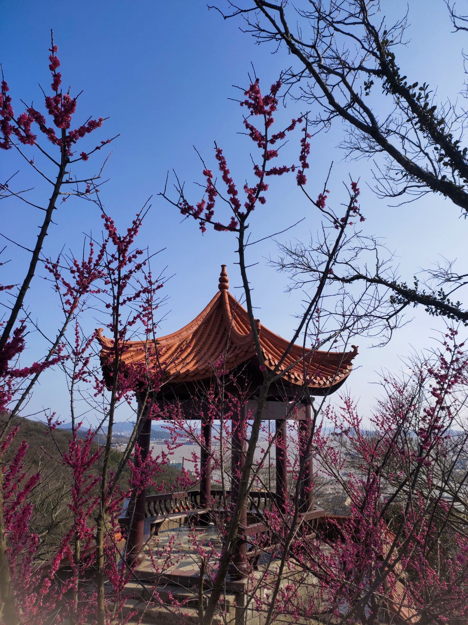 青龙山公园旅行图片 2