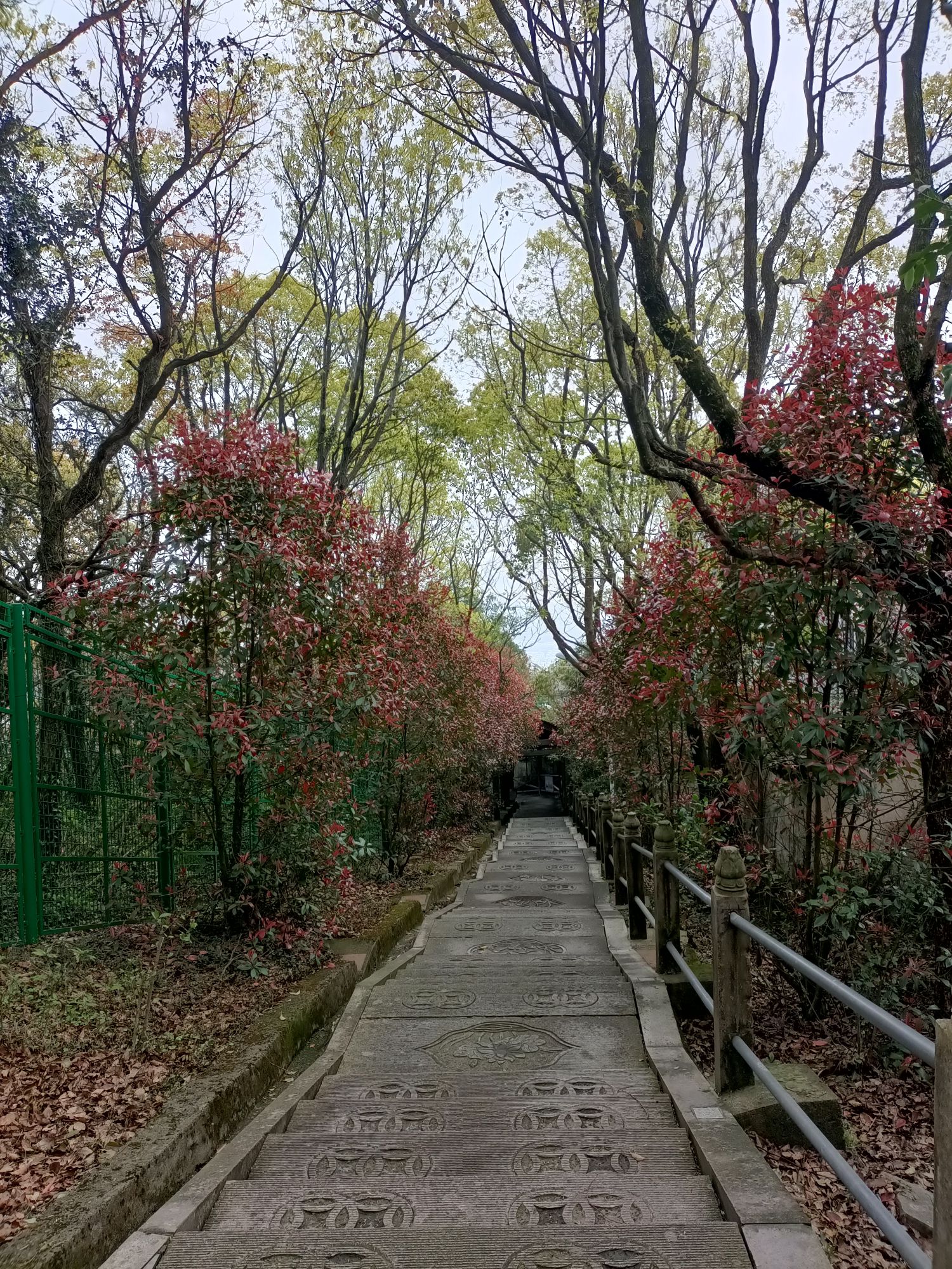 岱山风景名胜区旅行图片 3
