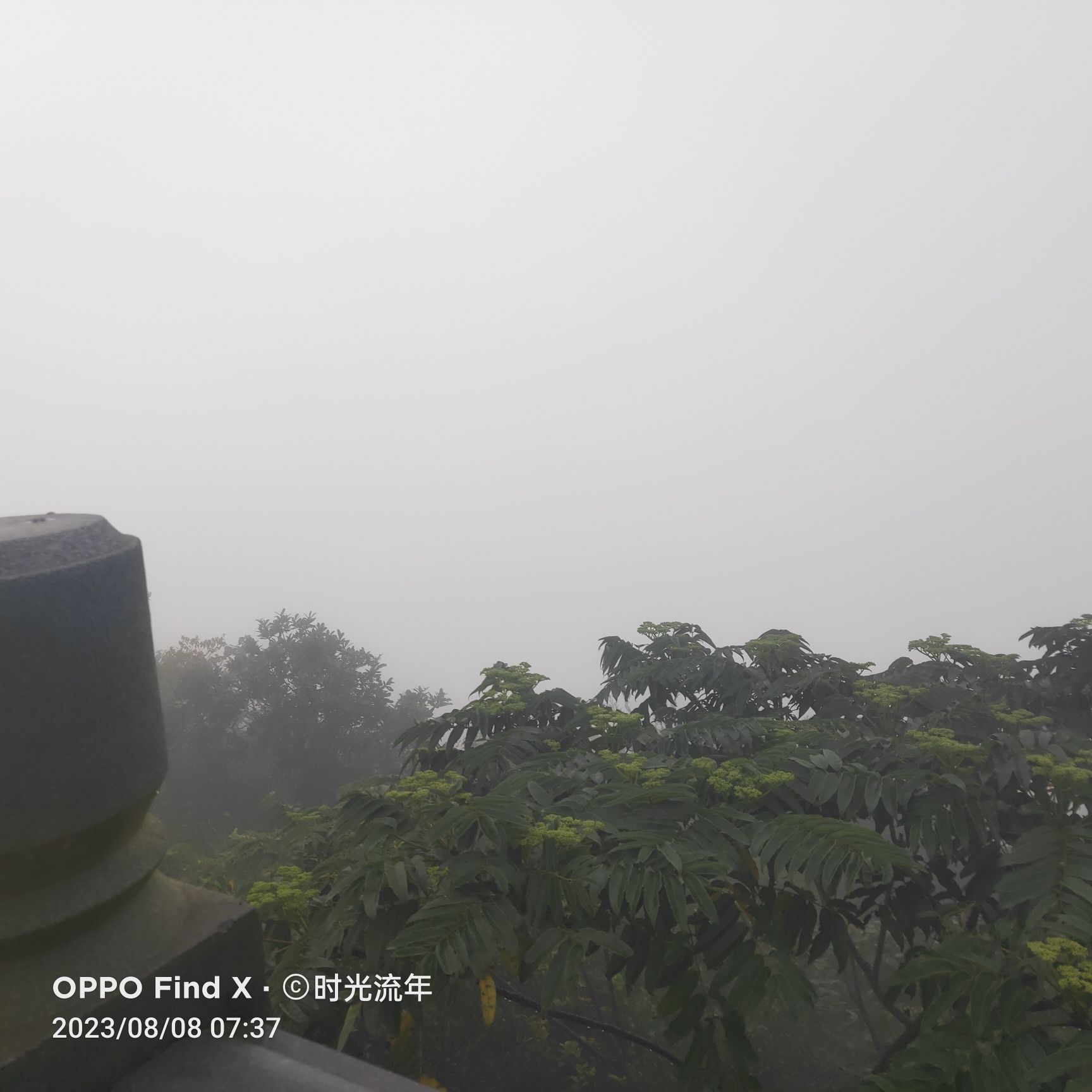 仙人山旅行图片 3