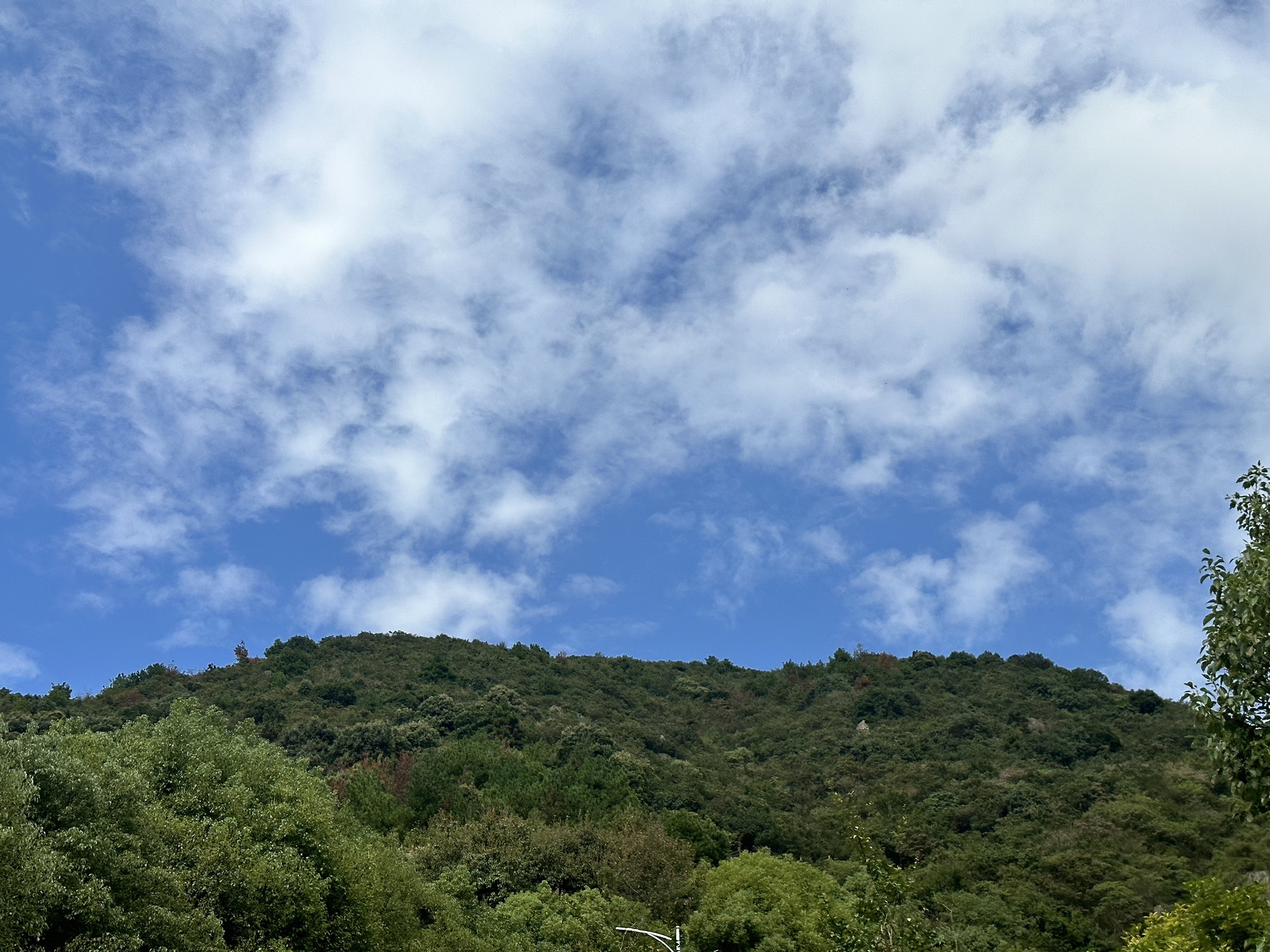 仙人山旅行图片 3