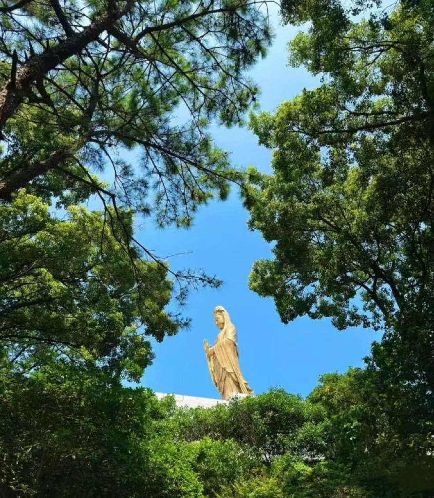 普陀山风景名胜区旅行图片 2
