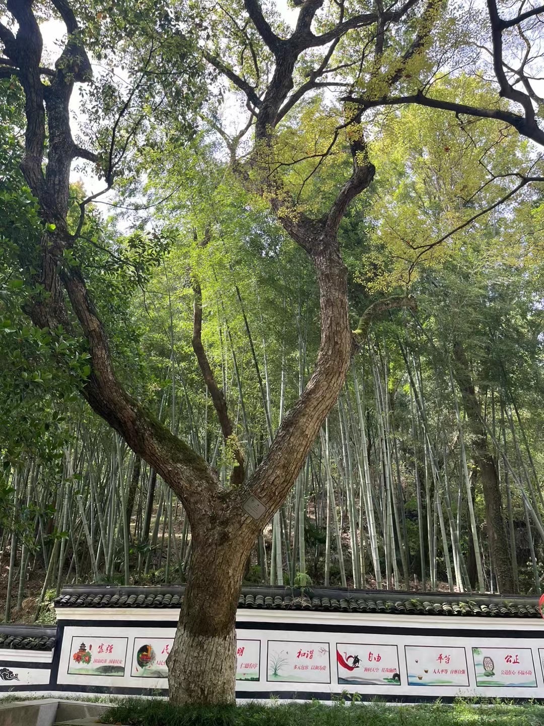 海山公园旅行图片 3