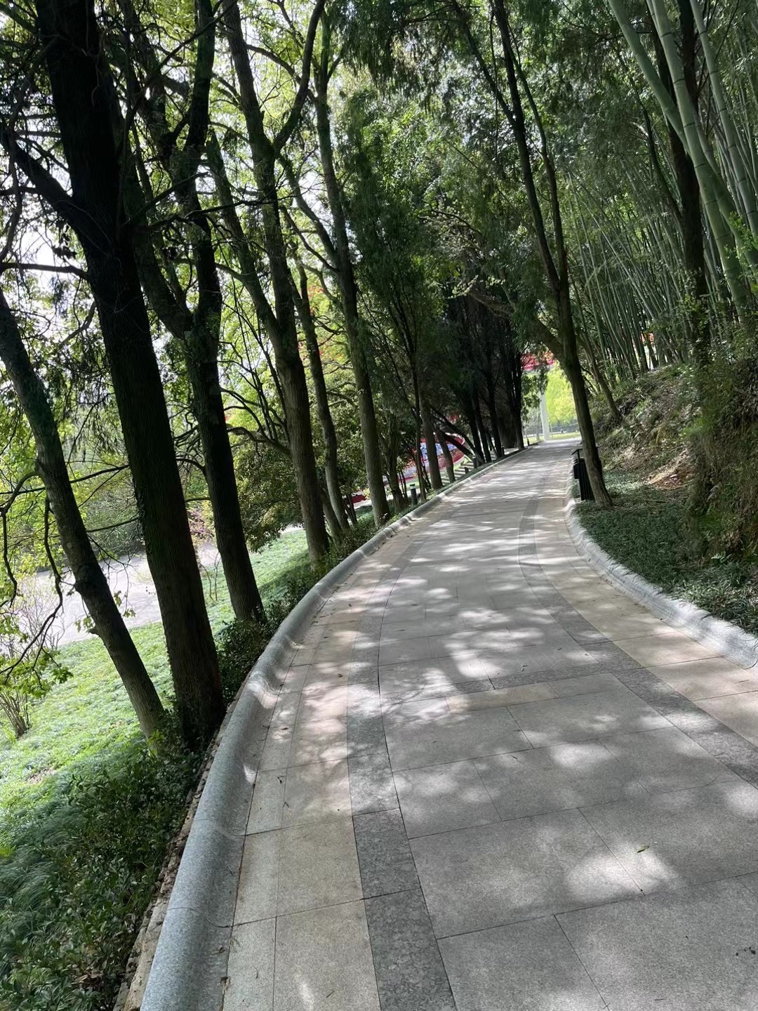海山公园旅行图片 1