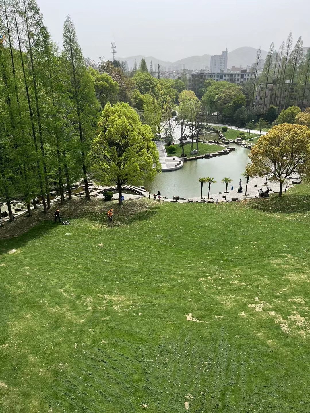 海山公园旅行图片 2