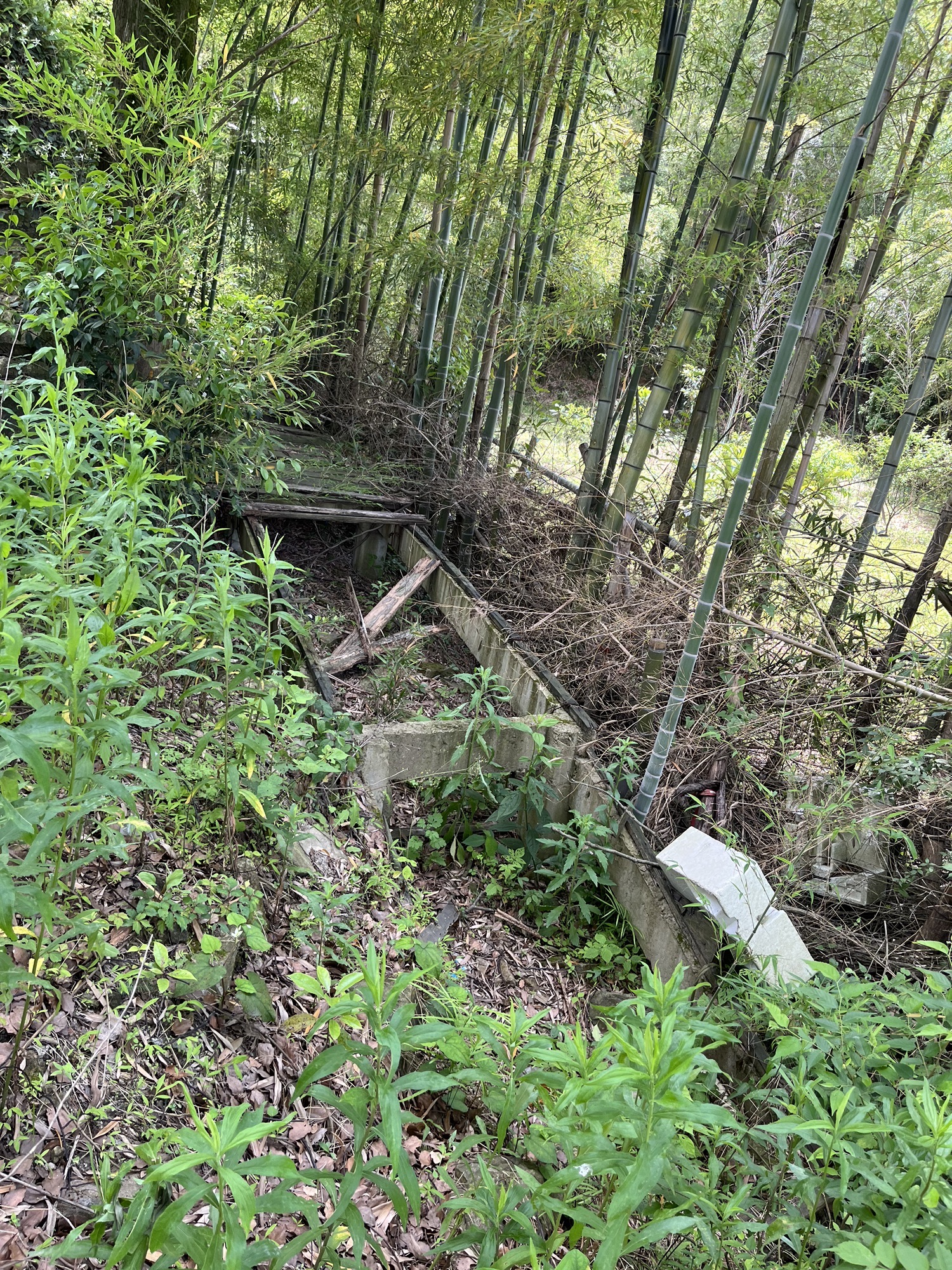 青青世界旅行图片 2
