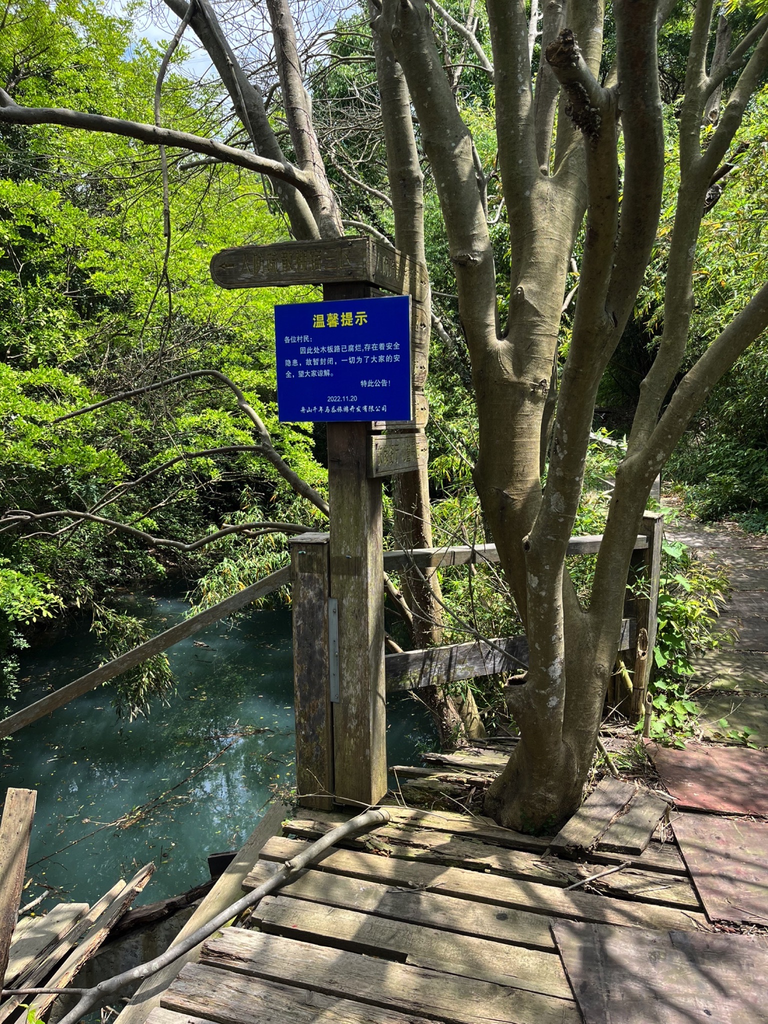 青青世界旅行图片 1