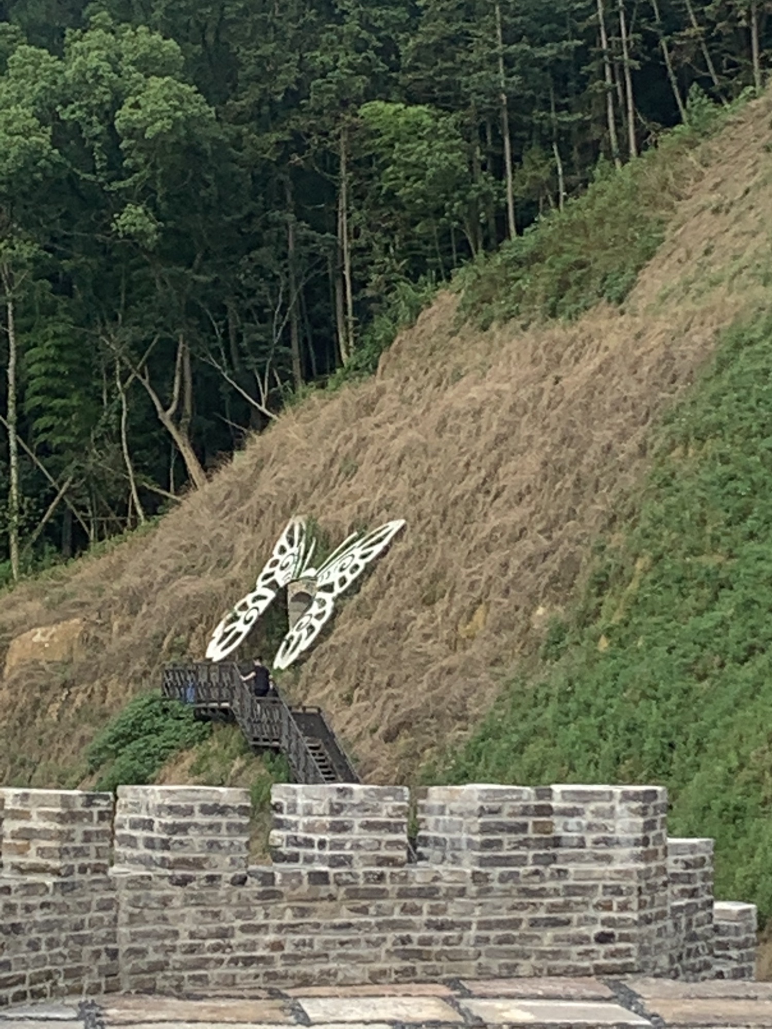 长岗山森林公园旅行图片 3